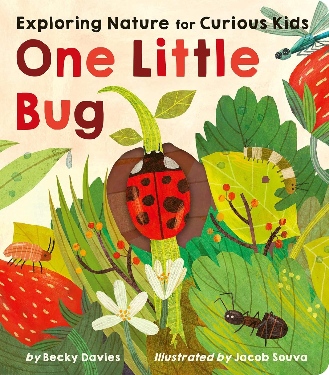 little tiger One Little Bug: Exploring Nature for Curious Kids Board book – Lift the flap, by Becky Davies (Author), Jacob Souva (Illustrator) Hardcover