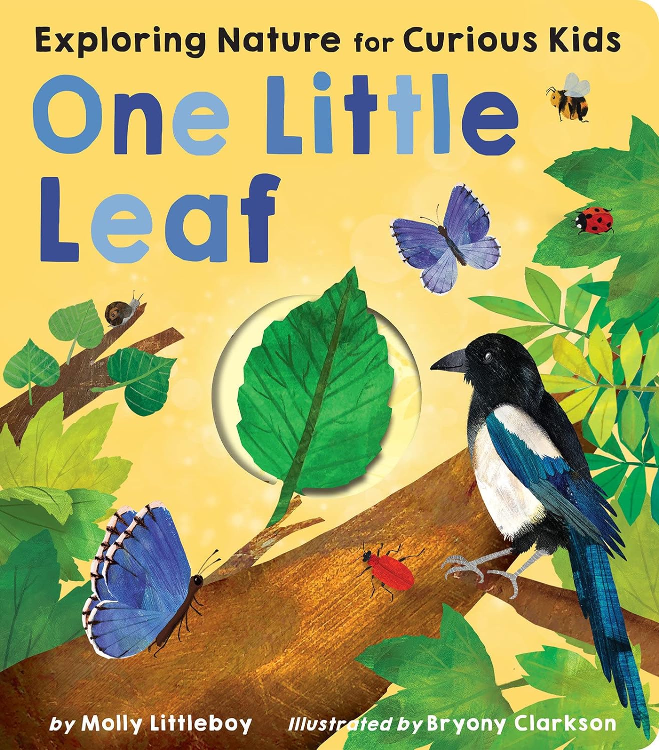 little tiger One Little Leaf: Exploring Nature for Curious Kids Board book – Lift the flap, by Molly Littleboy (Author), Bryony Clarkson (Illustrator) Hardcover