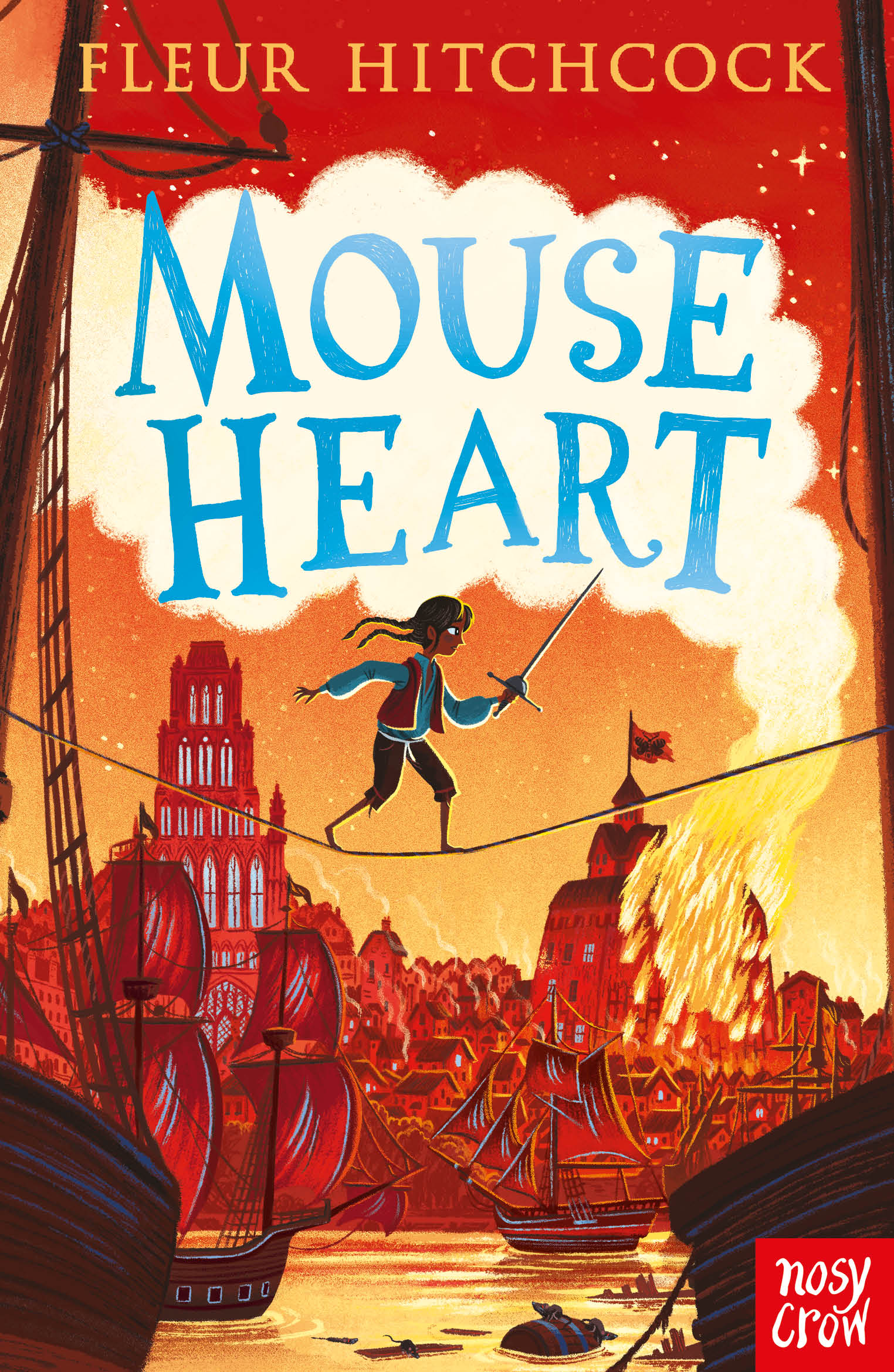 Nosy Crow Mouse Heart By Fleur Hitchcock