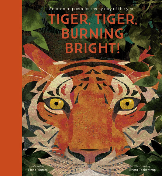 Nosy Crow Tiger, Tiger, Burning Bright By Fiona Waters & Britta Teckentrup