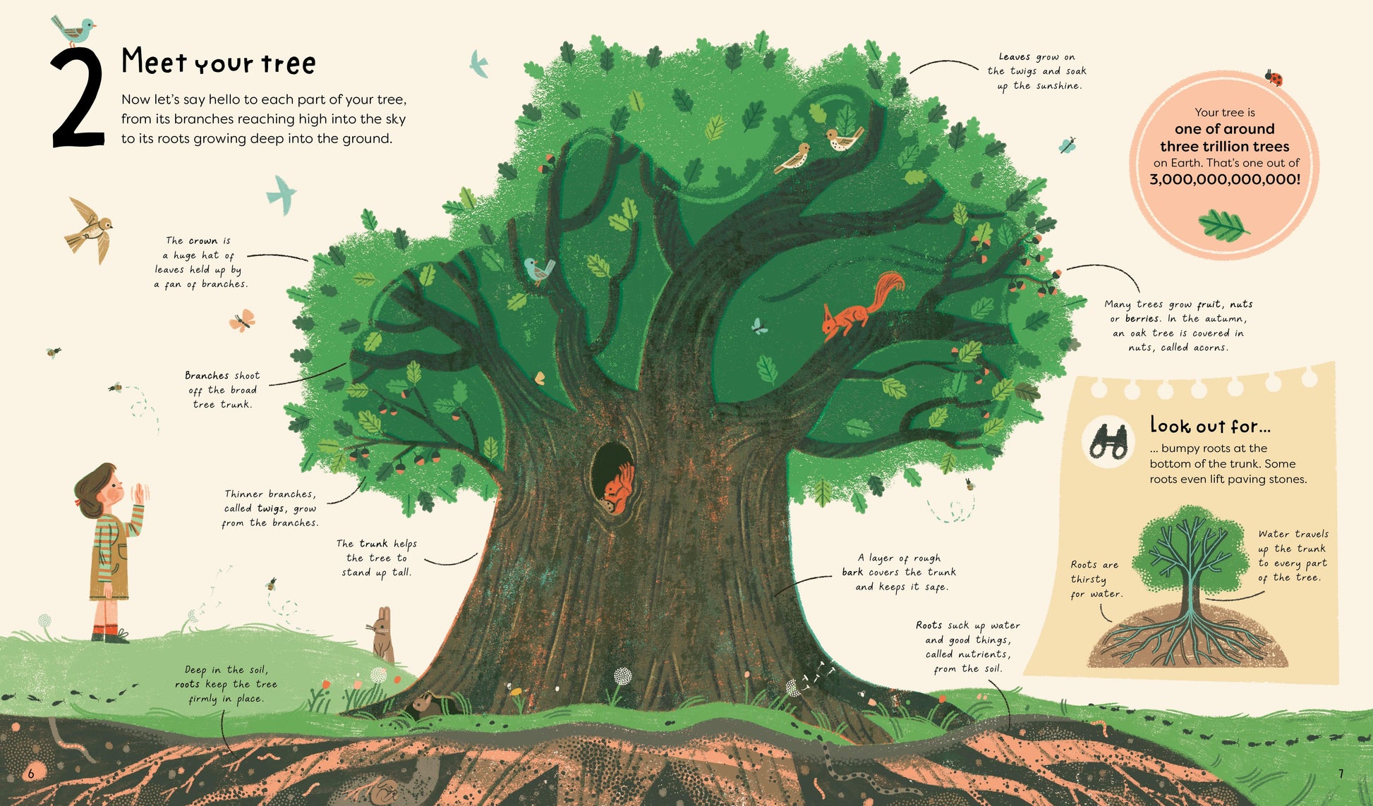 T&H 21 THINGS TO DO WITH A TREE By Jane Wilsher