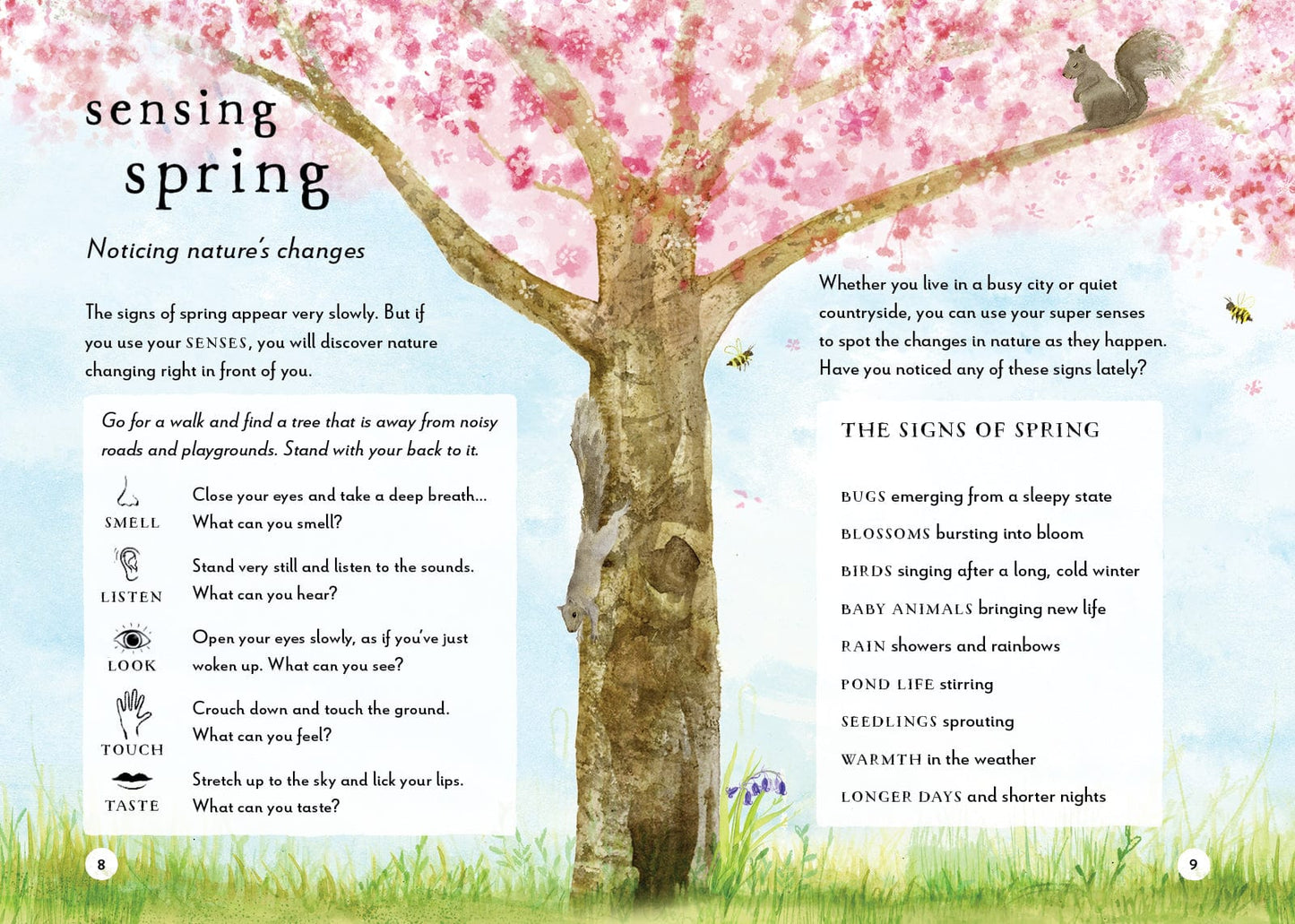 T&H A Field Guide to Spring Play and Learn in Nature Gabby Dawnay, Dorien Brouwers, Louise Black