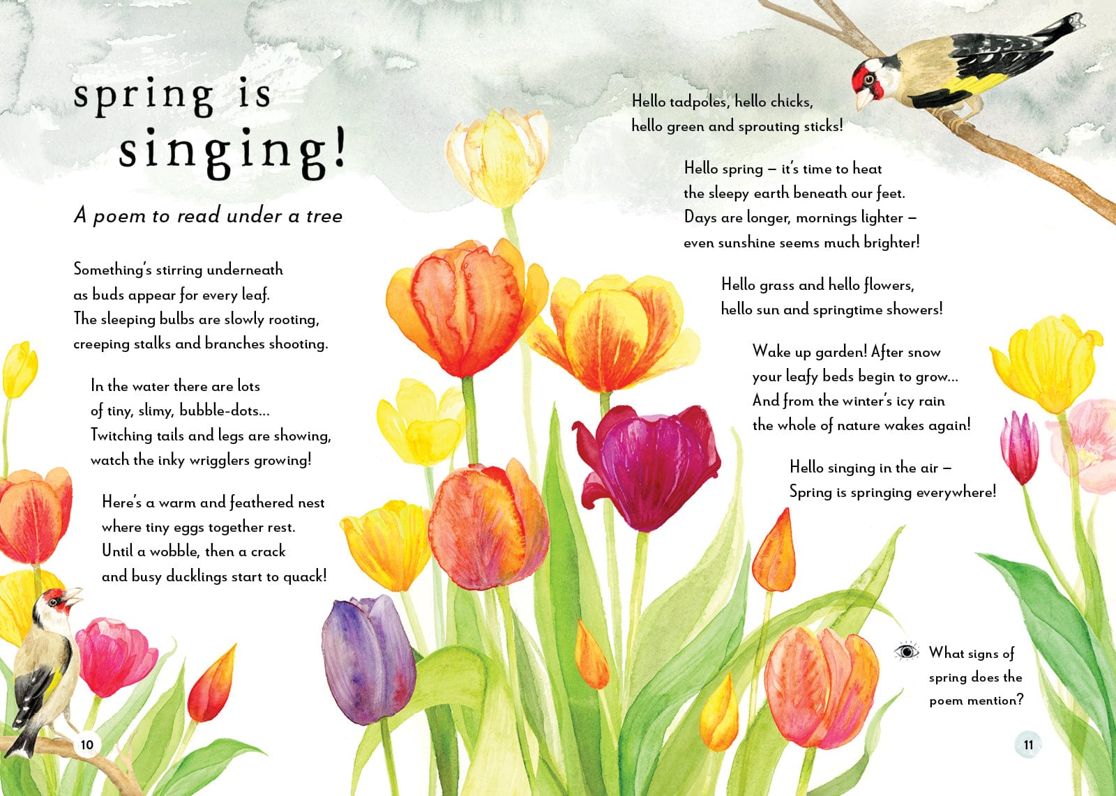 T&H A Field Guide to Spring Play and Learn in Nature Gabby Dawnay, Dorien Brouwers, Louise Black