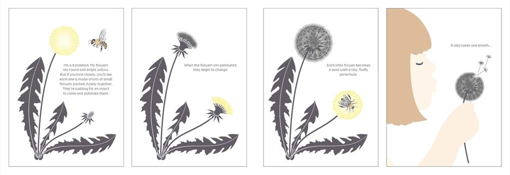 T&H From Tiny Seeds: The Amazing Story of How Plants Travel Hardcover by Émilie Vast (Author)