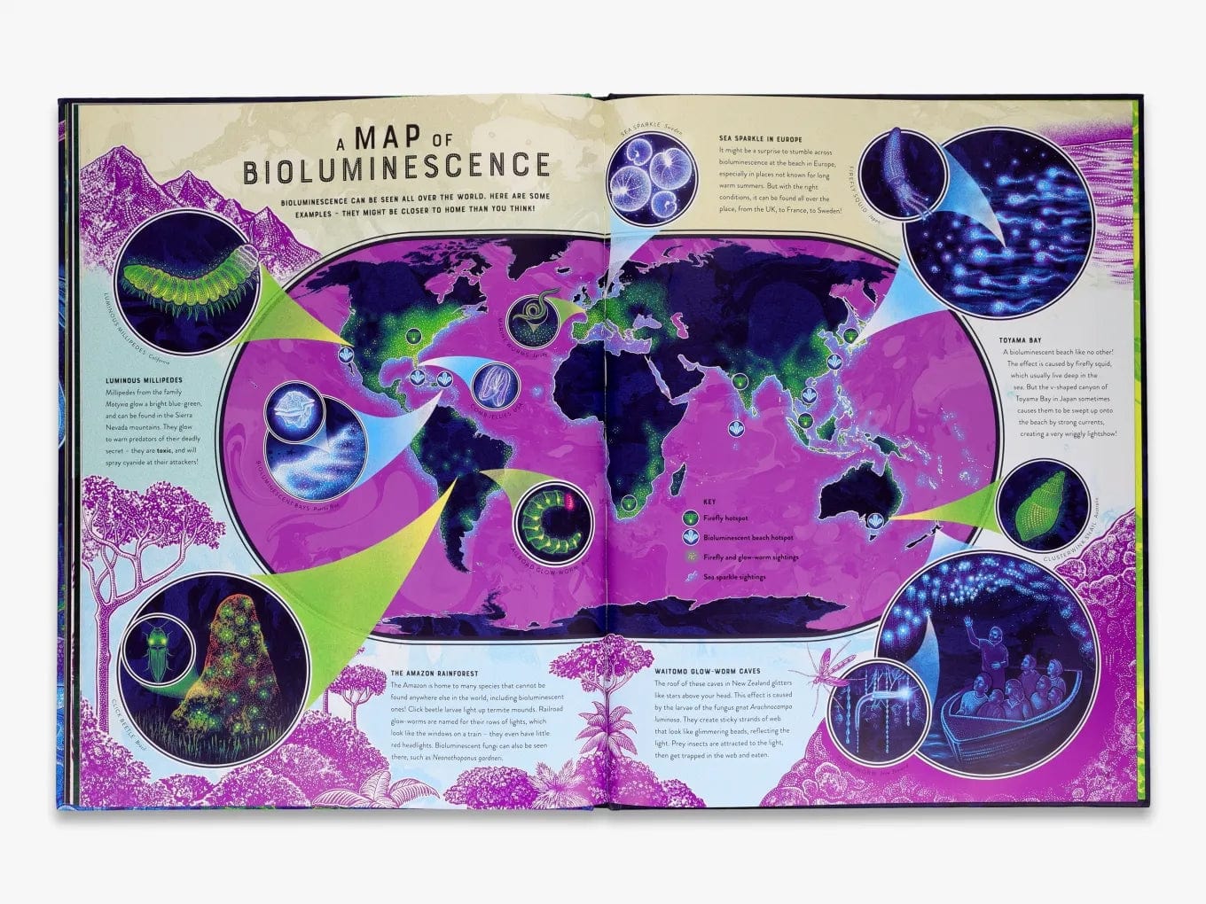 T&H Glow (Wild Wonders) The wild wonders of bioluminescence Jennifer N. R. Smith (Hardcover)