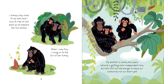 T&H LITTLE CHIMPANZEE A Day in the Life of a Little Chimpanzee  By Anna Brett (Hardcover)