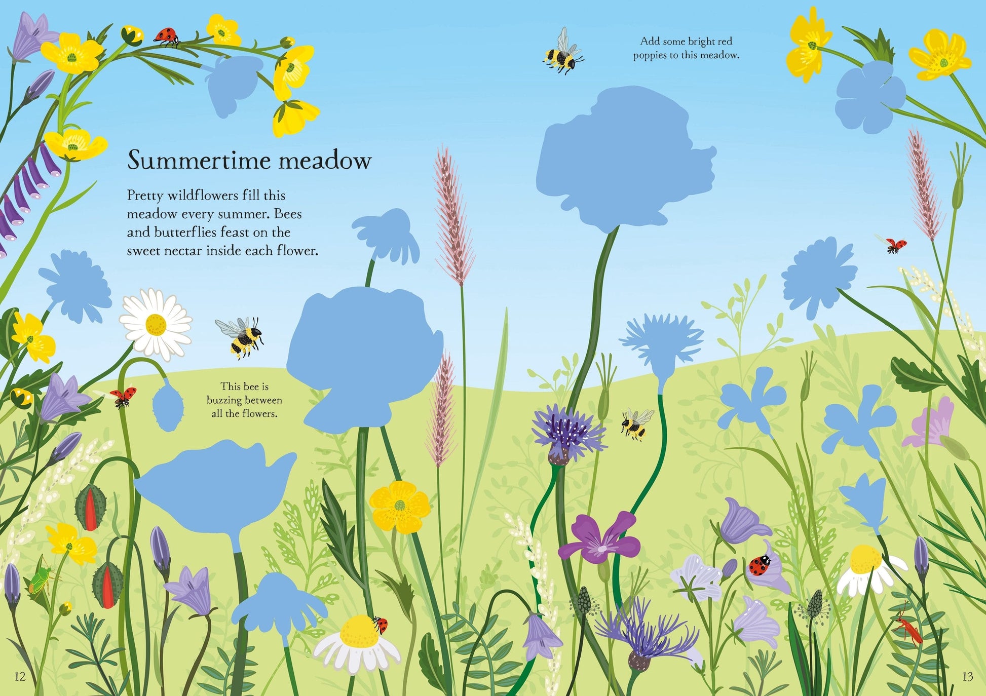 Usborne Little First Stickers Wildflowers Caroline Young  Illustrated by Sarah Watkins