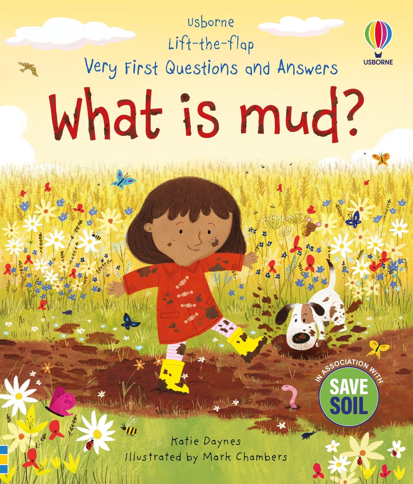 Usborne Very First Questions and Answers: What is mud? Katie Daynes  Illustrated by Mark Chambers