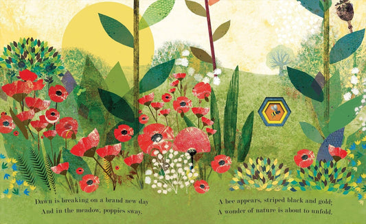 Book Bag Doha  Bee Nature's tiny miracle  Author: Patricia Hegarty, Illustrator: Britta Teckentrup