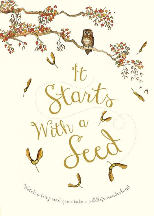 Book Bag Doha  It Starts With a Seed By Laura Knowles