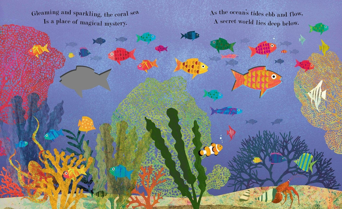 Book Bag Doha Sea A World Beneath the Waves  Author: Patricia Hegarty, Illustrator: Britta Teckentrup ( Board Book)