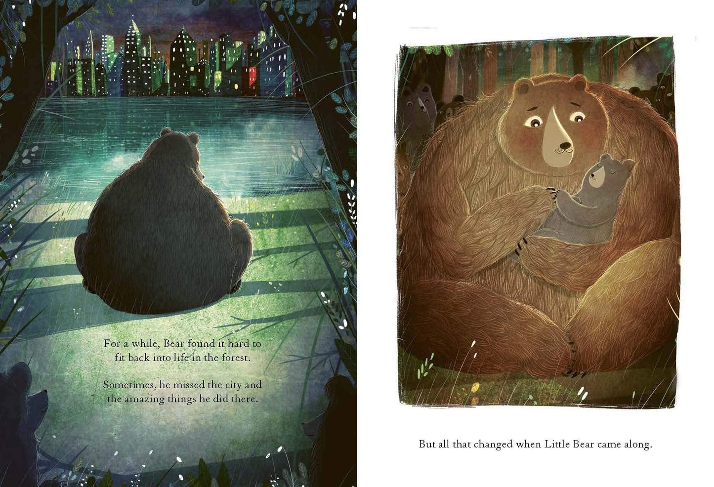 Book Bag Doha  The Bear, the Piano and Little Bear's Concert By David Litchfield