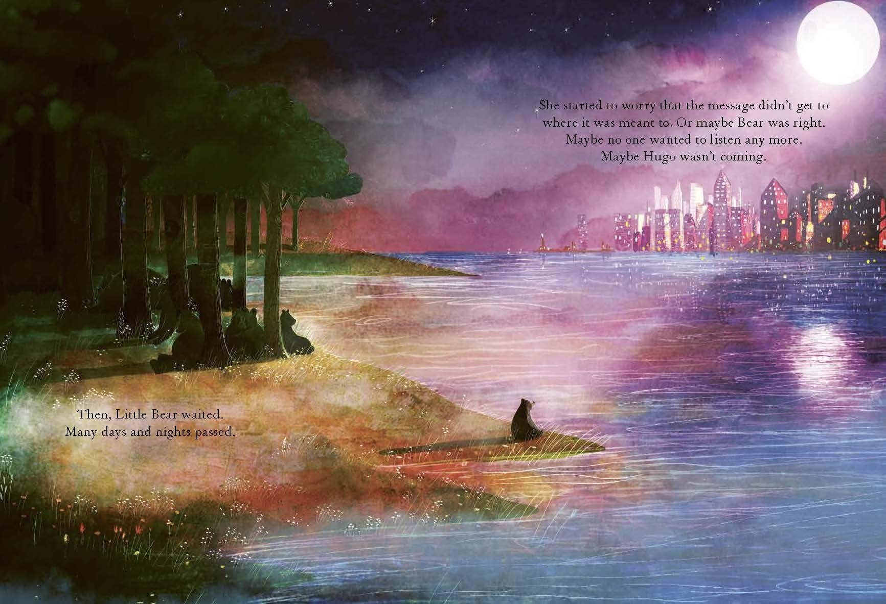 Book Bag Doha  The Bear, the Piano and Little Bear's Concert By David Litchfield