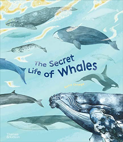Book Bag Doha  The Secret Life of Whales  By Rena Ortega