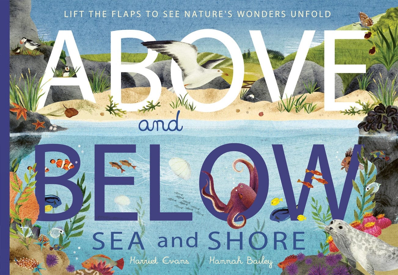 little tiger Above and Below: Sea and Shore Lift the flaps to see nature's wonders unfold   Authors: Harriet Evans, Hannah Bailey