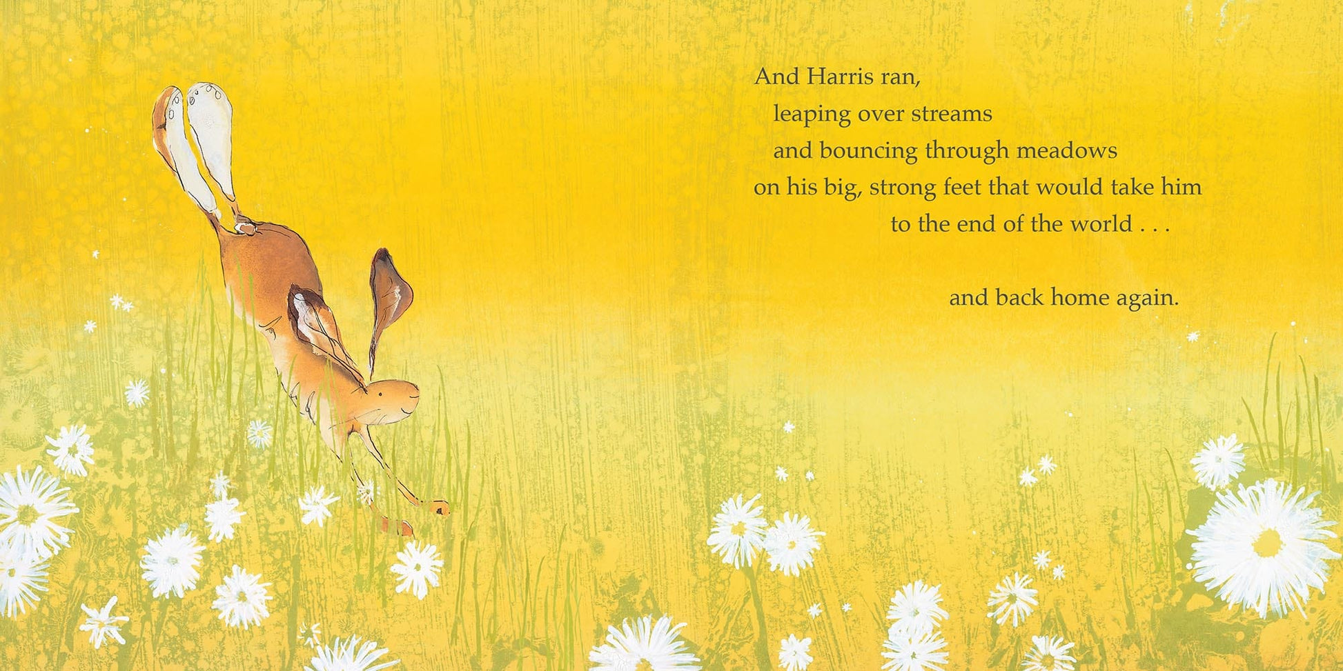 little tiger Harris Finds His Feet Author: Catherine Rayner