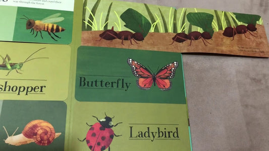 little tiger Hidden World: Forest (Lift the Flap Nature)  by Libby Walden (Author)
