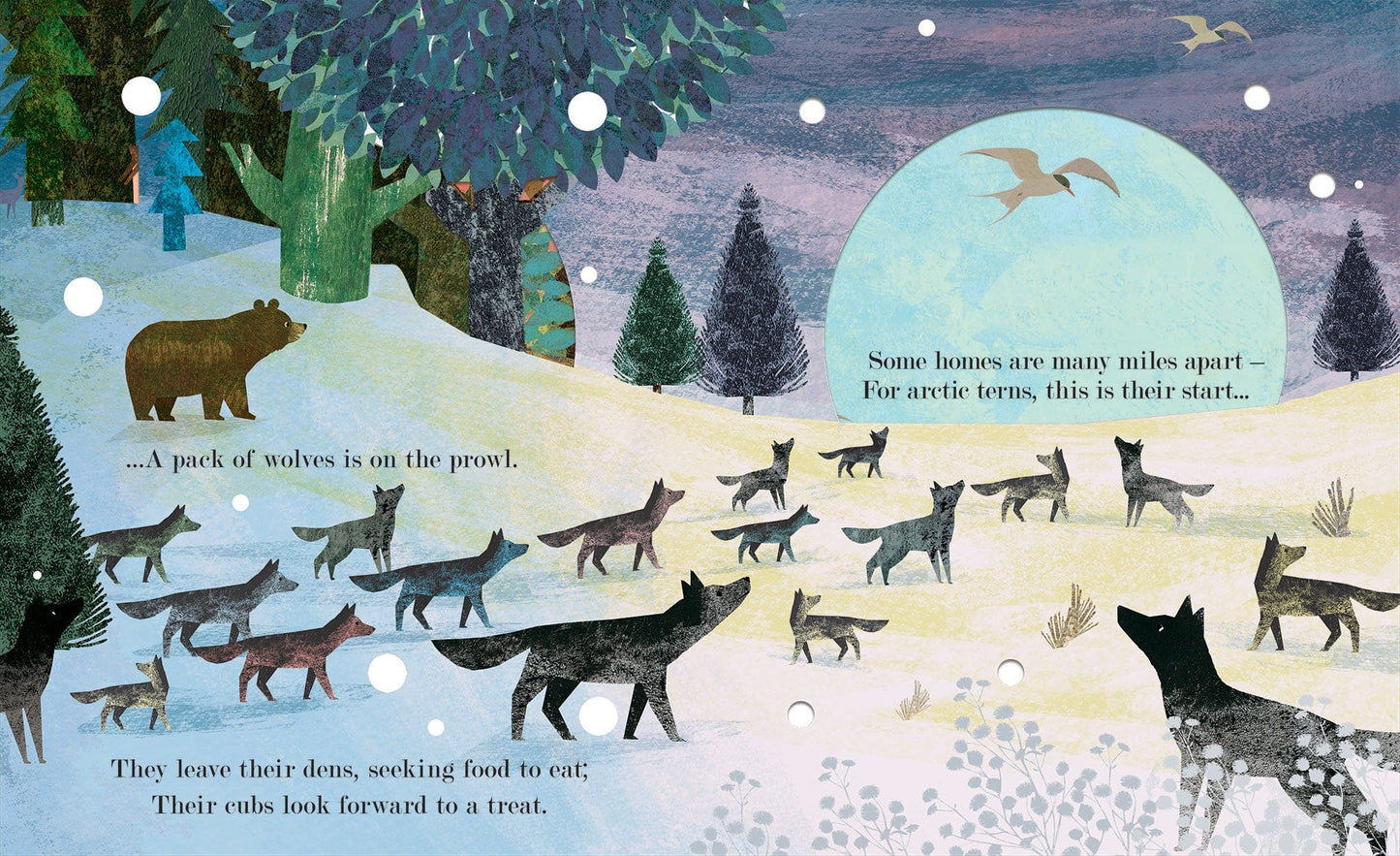 little tiger Home where our story begins  Authors: Britta Teckentrup, Patricia Hegarty