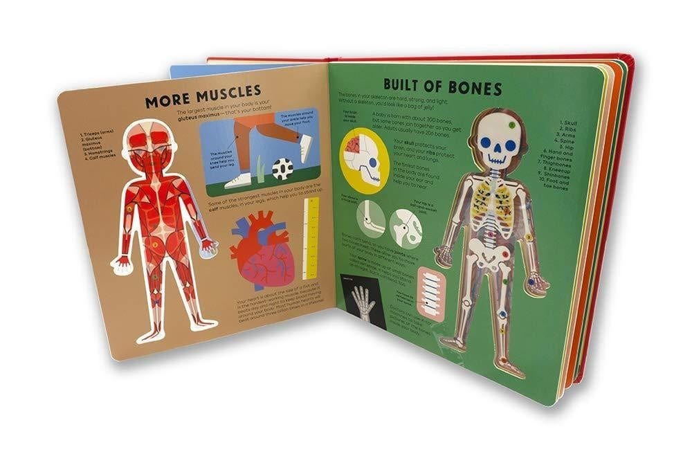 Nosy Crow The Body Book By Hannah Alice
