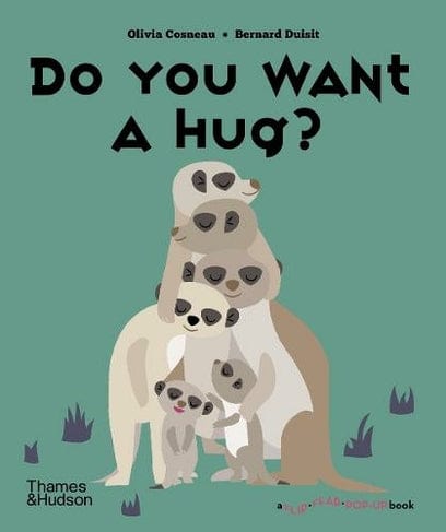 T&H Do You Want a Hug? (A Flip Flap Pop Up Book) Olivia Cosneau, Bernard Duisit