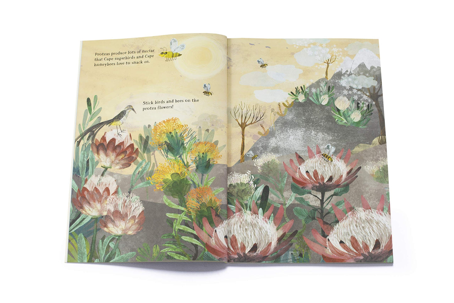 Yuval Zommer Stickers books The Big Sticker Book Of Blooms