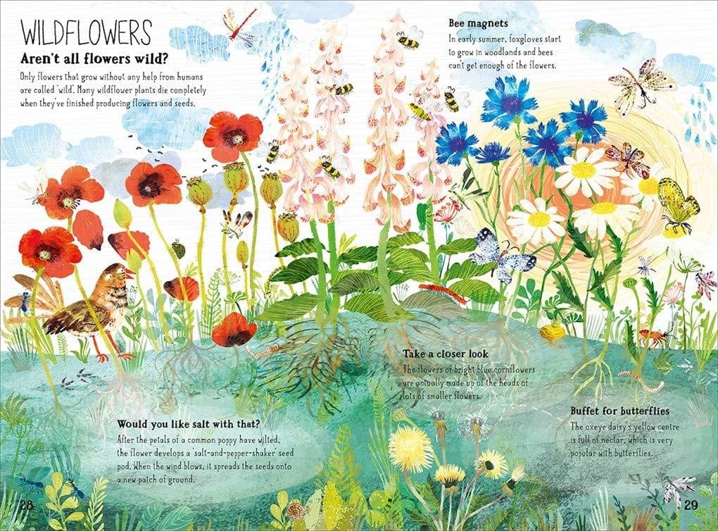 Yuval Zommer The Big Book of Blooms  by Yuval Zommer
